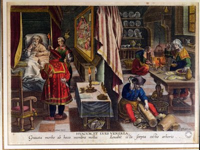 Preparation and Use of Guayaco for Treating Syphilis, Engraved by Philip Galle, c.1570 by Jan van der Straet